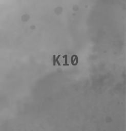 Map Cell K-10