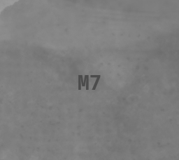 Map Cell M-7