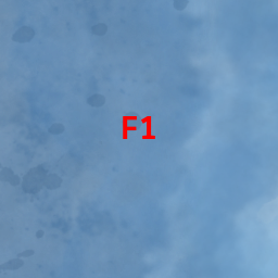 Map Cell F1