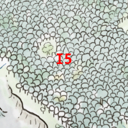 Map Cell I-5