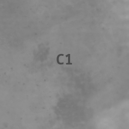 Map Cell C-1