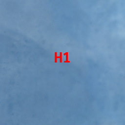 Map Cell H-1