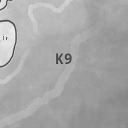 Map Cell K-9