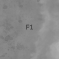 Thumbnail for version as of 22:07, 10 January 2025